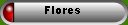 Flores / Flowers